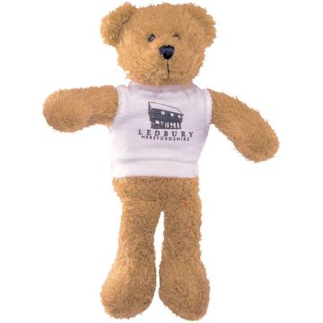 9Inch Scraggy Bear With T Shirt