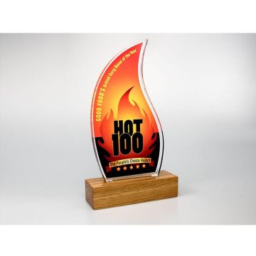 Freestanding Acrylic Award, Standard Shape With Engraved Real Wood Base - 95mm x 175mm