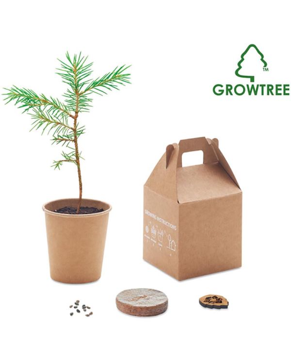 Pine Tree Set - Growtree Collection